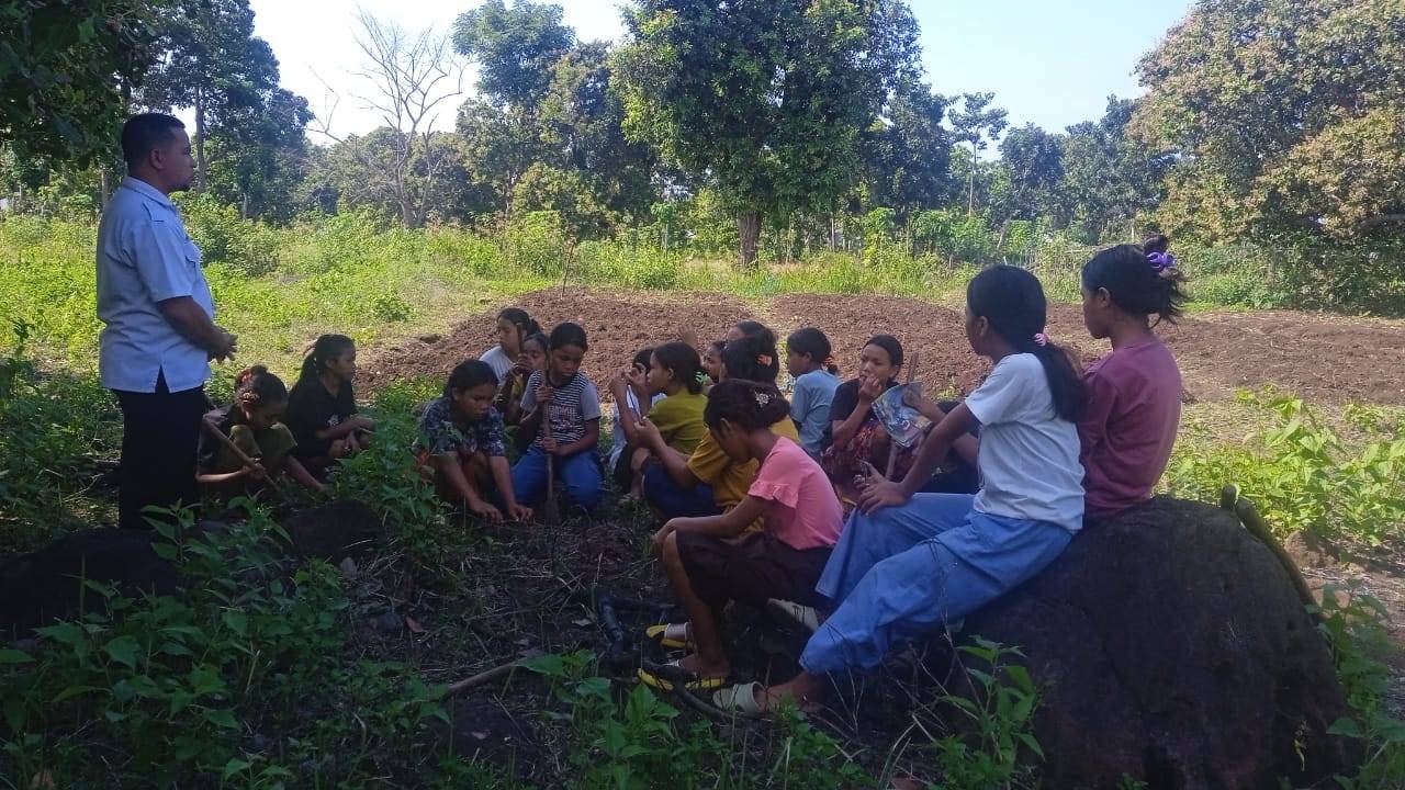 Galleria Greenschool